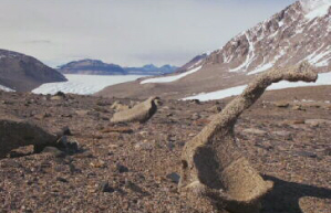 Hollowed Rock