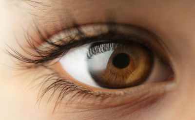 Eyes | the Windows to our Soul | Understanding Visual Signals