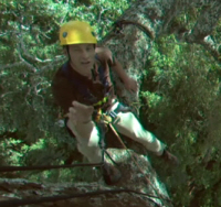Chris Packam in a Brazil Nut Tree