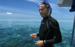 Chris Packam in the Maldives