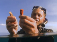 Chris holding Sponges