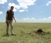 Dung