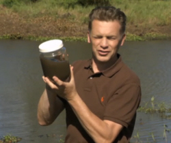 Jar of Silty Water