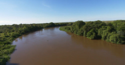 Swollen River