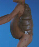 CMN Mole, Didier Montalvo