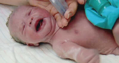New-born Shelby