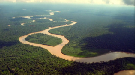 The Amazon Rainforest
