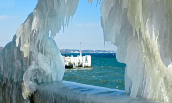 Fantastic Ice Sculpturesn