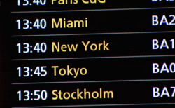 Global Travelling Bacteria
