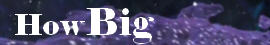 How Big is the Universe