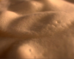 Cappuccino Foam