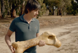 Diprotodon Femur