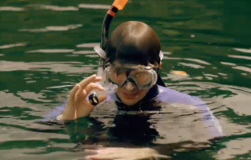 Brian Cox snorkelling with Jellyfish
