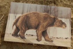 Diprotodon