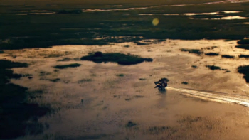 The Everglades