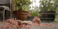 Exploding Melon