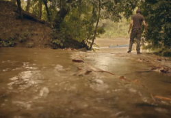 Babbling Brook